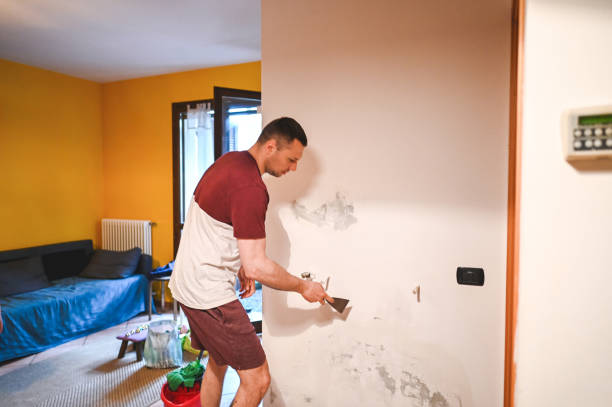 Best Professional Mold Removal  in Helena Valley Northwest, MT