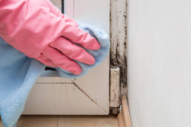 Best Residential Mold Removal  in Helena Valley Northwest, MT